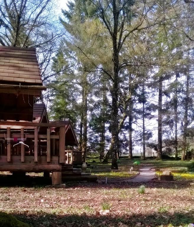 Chambres D'Hotes La Gargaille Alièze Zewnętrze zdjęcie
