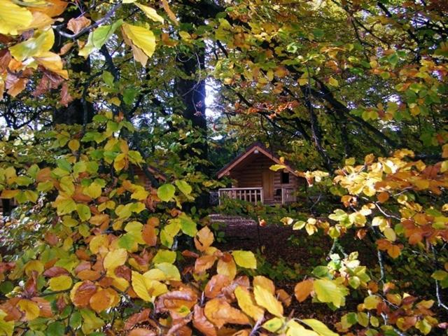 Chambres D'Hotes La Gargaille Alièze Pokój zdjęcie