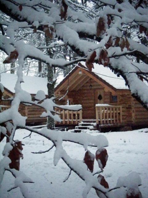 Chambres D'Hotes La Gargaille Alièze Zewnętrze zdjęcie