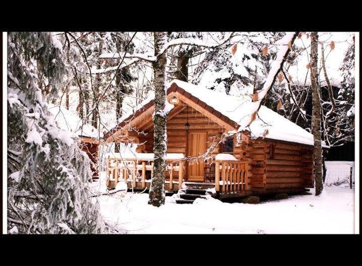 Chambres D'Hotes La Gargaille Alièze Zewnętrze zdjęcie
